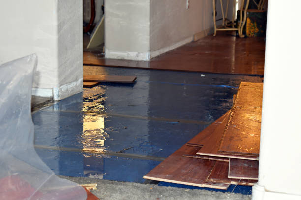 Professional Basement Water Removal technician working in Brooks, KY